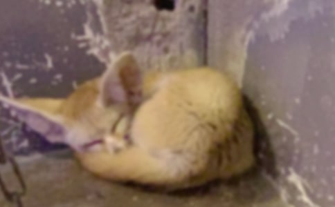 �������Ǯ���������