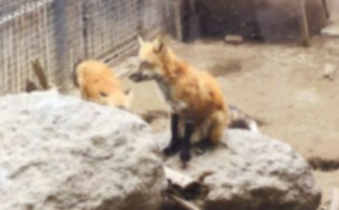 ���˲���ĺ���ְ֡������(ͨ��)