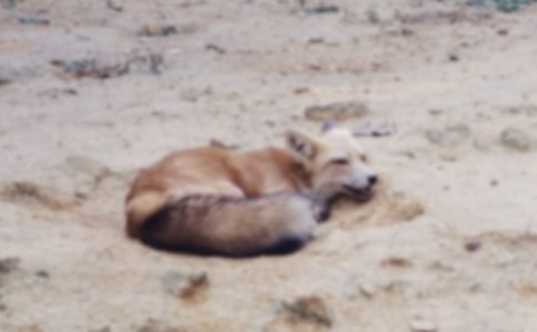 ���������ѻ����ѧ��˼