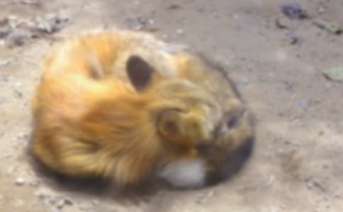 ���ڡ��������ѻ���̰��ϼ�ʮƪ