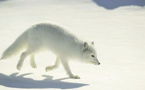 ���������ǵĹ��¡������