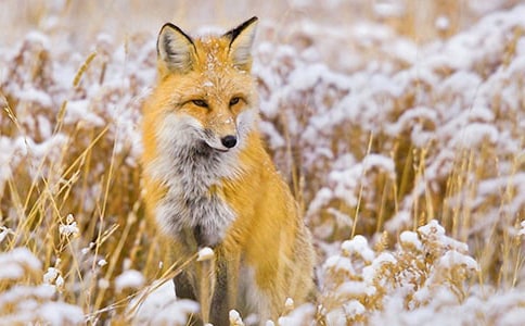 ���������ѻ����ѧ��˼