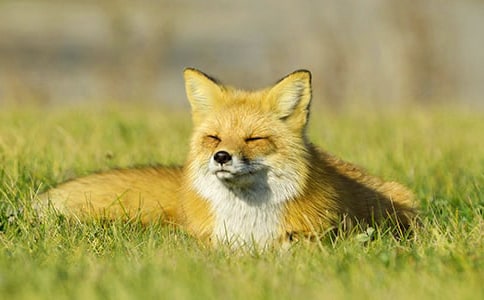 ������Խ̰��������ѻ15ƪ