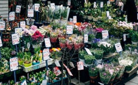 �ʻ������