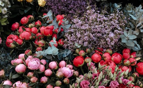 �������