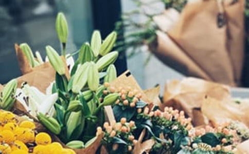 ����Ʒ�����괴ҵ�ƻ���