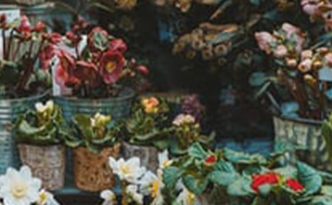 ���괴ҵ��ƻ���