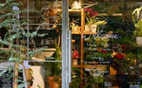 ���괴ҵ�ƻ���