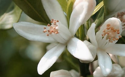 �������������