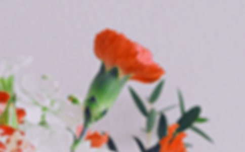 �������̰��������Ļ���