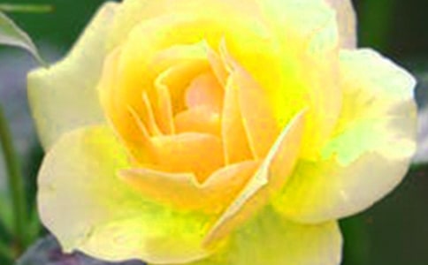 �����䡷�̰�