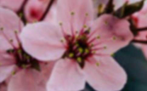 �����Ļ�������