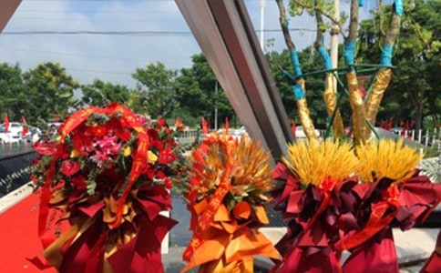 ���໨���������Ϸ�̰�