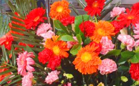 ��������Ϸ�໨���̰�8ƪ[ͨ��]