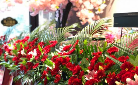 ���໨���̰�