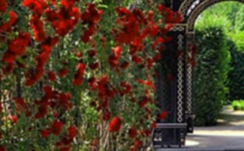 ����԰���ݳ����ͬ