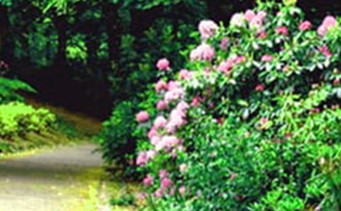 �����˵Ļ�԰����ѧ��˼����Ʒ��