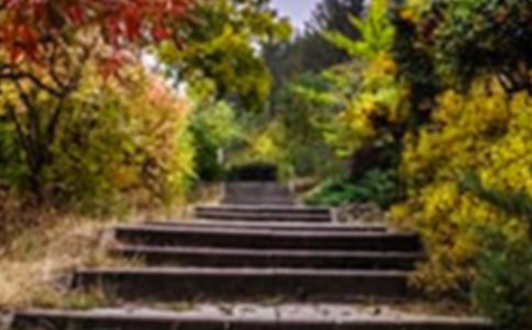 �������ܵĻ�԰���и�