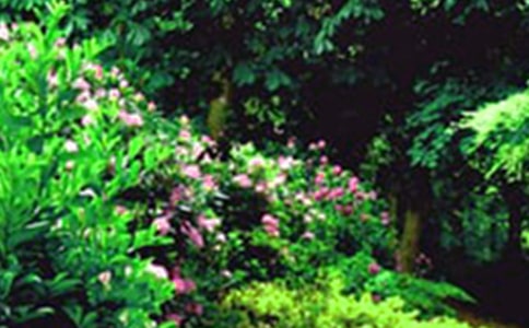 ��԰��ѧ��˼