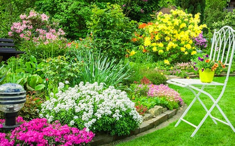 �����˵Ļ�԰���̰�15ƪ����ѡ��