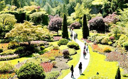 �����˵Ļ�԰����ѧ��˼�����15ƪ��