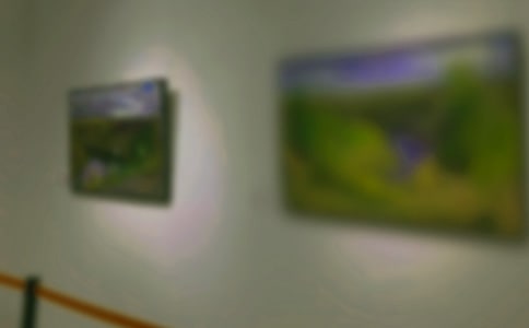 �黭չ�߻��飨���ϣ�