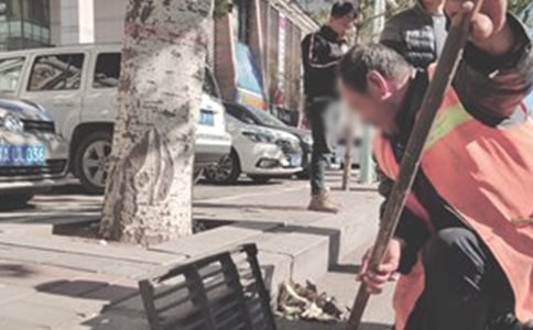 С�����������ƶ�