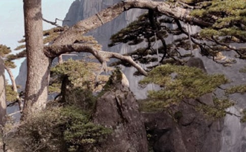 ��ɽ���δʷ���1000�֣�ͨ��5ƪ��