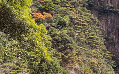 ��ɽ���δʳ��ã�15ƪ��