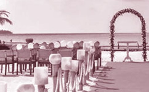 ����ж���ĸ�´ǣ�ͨ��15ƪ��