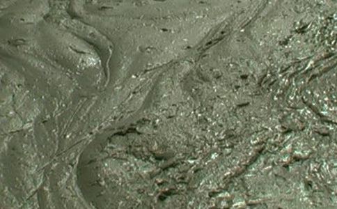 ������������ͬͨ��15ƪ