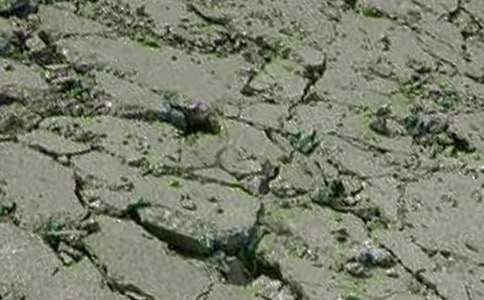 ���������������ͬ