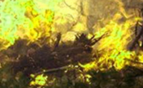 �����¹��ĵ���ᣨʵ��14ƪ��