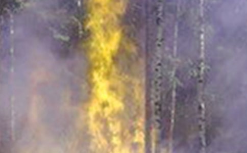 ���»��ּ�����ͨ��