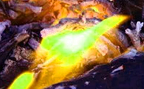 Ԥ������������̰�