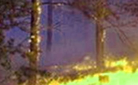 预防火灾演讲稿11篇