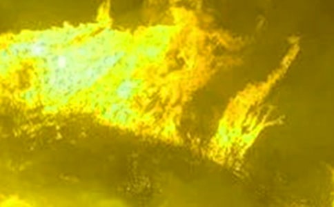 ���������Ҳ��½̰�