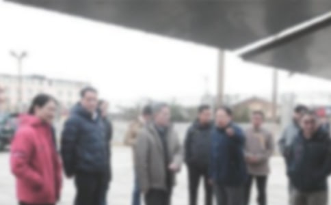 ����ɲ������ƻ�(15ƪ)