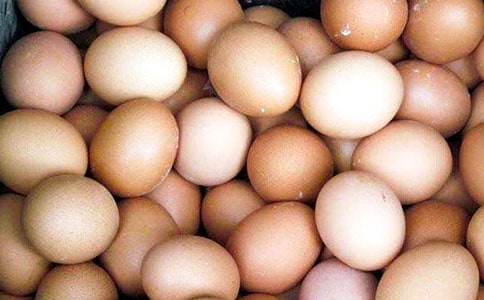 ����滭�����Ĺ�����ʾ