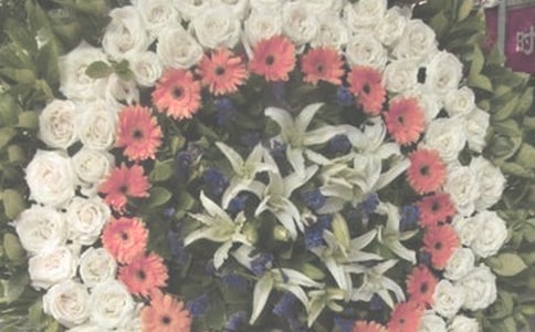 �������쳫����