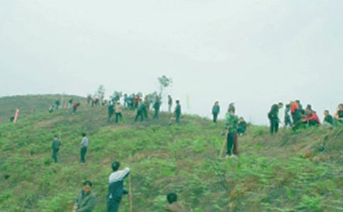 ������淢�Ը�8ƪ