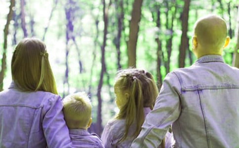 �ҳ������ջ�ܽἯ�ϡ�15ƪ��