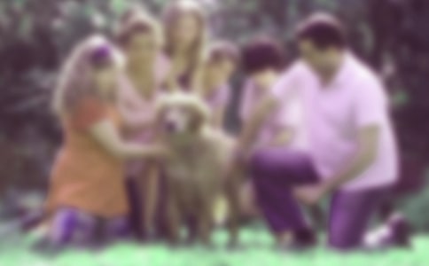 �ҳ���ͥ�����ĵ����