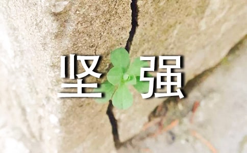 ��ǿ����˵˵���Ի��ܣ���ѡ60�䣩