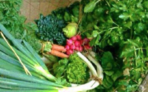 ��ʵ�á���ཡ���̰�����8ƪ