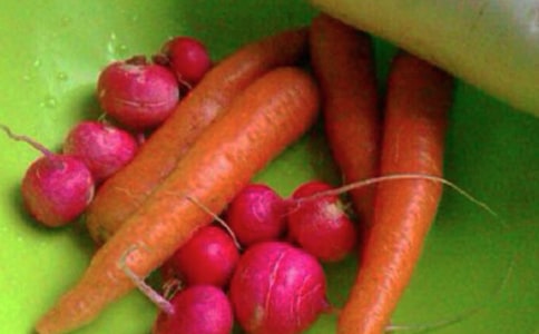 ���Ľ�����̰�