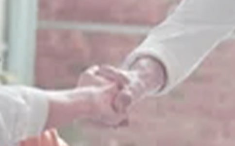 �����š����ｻ�ʽ̰����ĺϼ�10ƪ