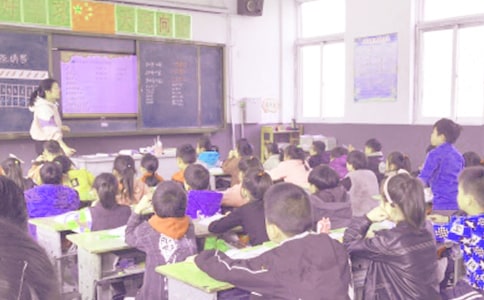 ������ý�ѧ��˼15ƪ