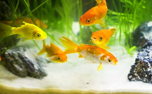 �Ͷ��ξ�ֽ������̰���ͨ��12ƪ��