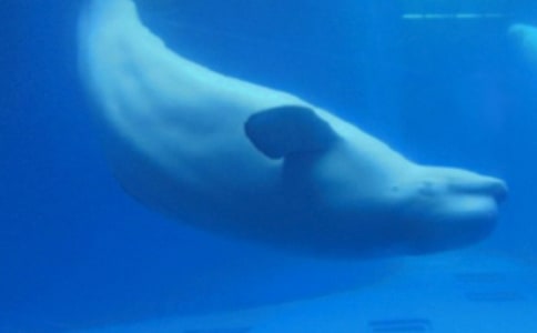 �����㡷�̰�15ƪ